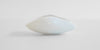 White Tea Dish