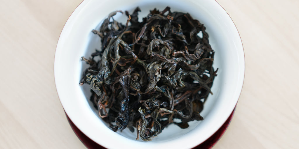 A top-down photo of brewed aged Formosa oolong tea leaves in a gaiwan.