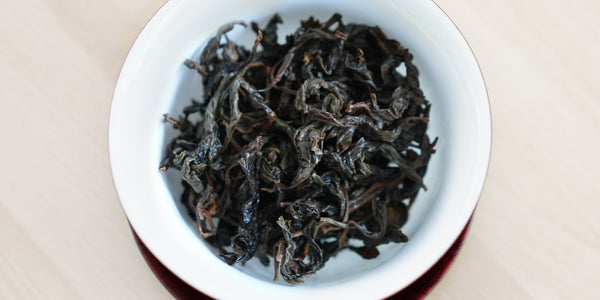 A top-down photo of brewed aged Formosa oolong tea leaves in a gaiwan.