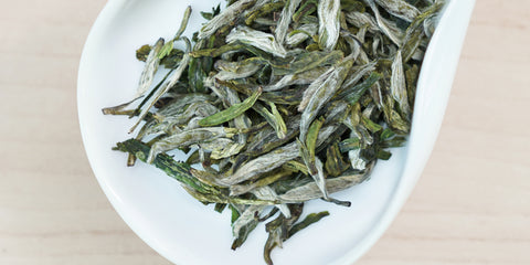 A white dish containing dry green tea leaves.