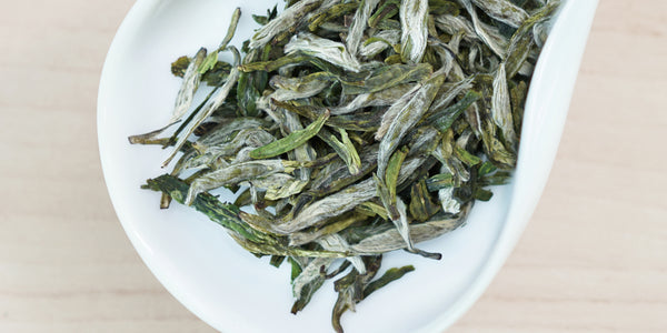 A white dish containing dry green tea leaves.