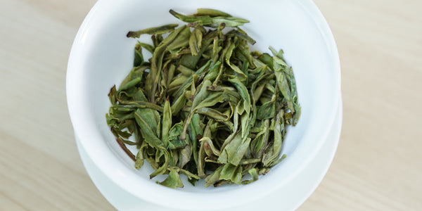 A top-down photo of brewed green tea leaves in a gaiwan.