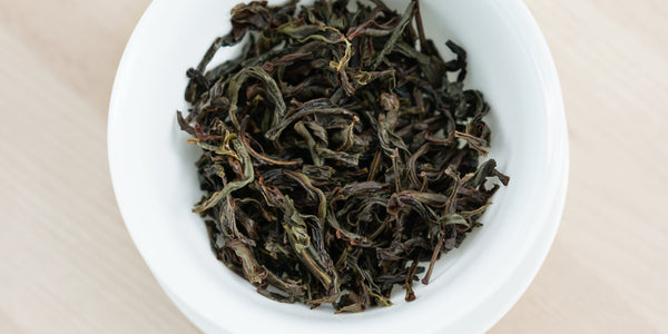 A top-down photo of brewed Phoenix oolong tea leaves in a gaiwan.