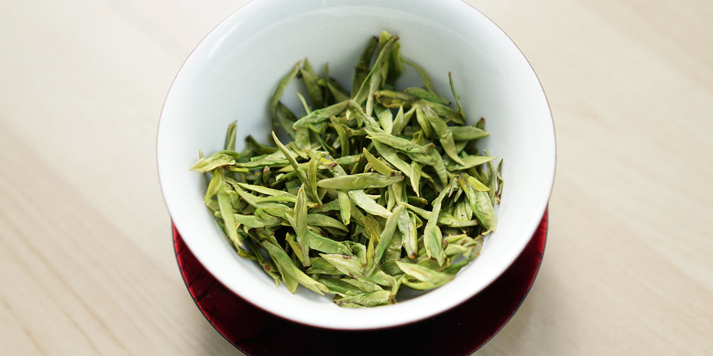A top-down photo of brewed green tea leaves in a gaiwan.