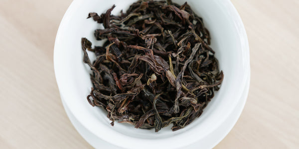 A top-down photo of brewed Phoenix oolong tea leaves in a gaiwan.