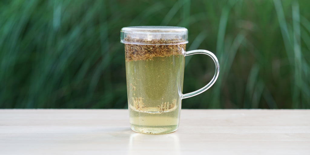 A glass cup with elderflower brewing in the nested glass infuser.