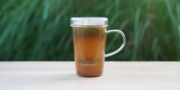 A glass cup with ginger lemongrass brewing in the nested glass infuser.