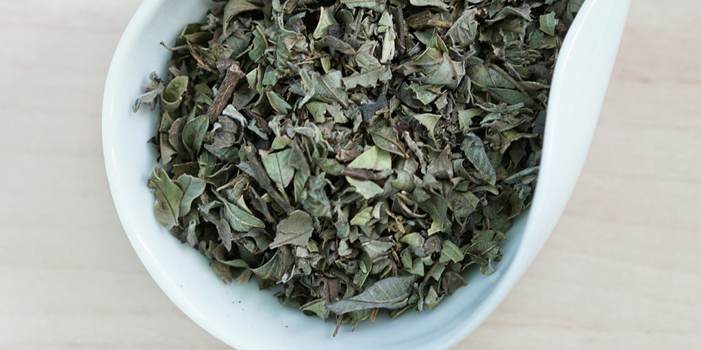 A white dish containing dry wild guava leaves.