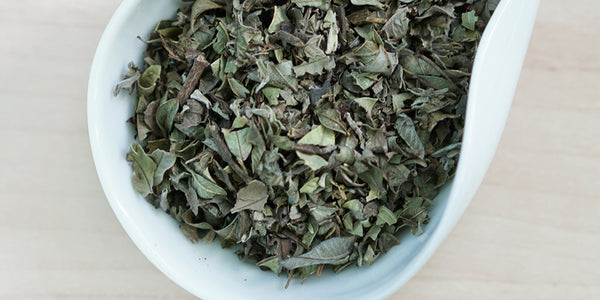 A white dish containing dry wild guava leaves.