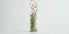 A tea sachet standing filled with chrysanthemum buds. More chrysanthemum buds are raining down from above.
