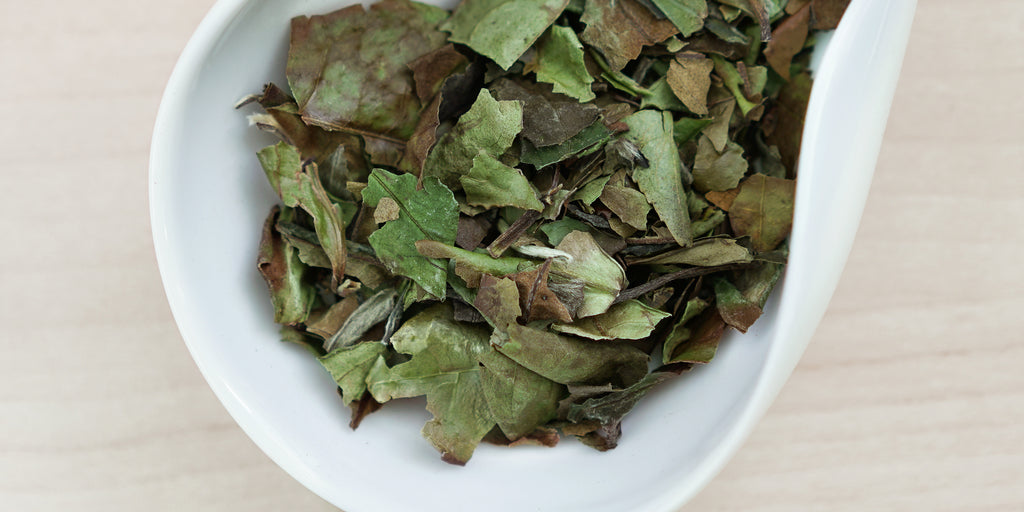 A white dish containing dry white tea leaves.