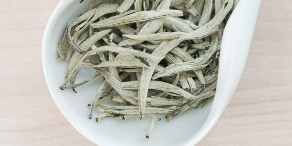 A white dish containing dry white tea leaves.