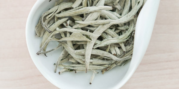 A white dish containing dry white tea leaves.