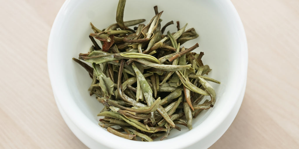 A top-down photo of brewed white tea leaves in a gaiwan.