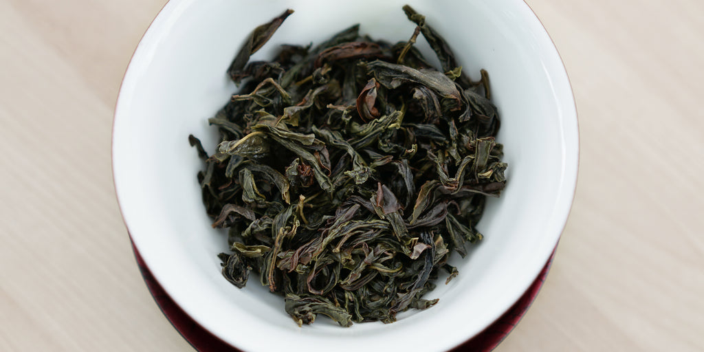 A top-down photo of brewed Phoenix oolong tea leaves in a gaiwan.