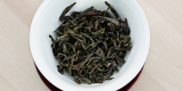 A top-down photo of brewed Phoenix oolong tea leaves in a gaiwan.